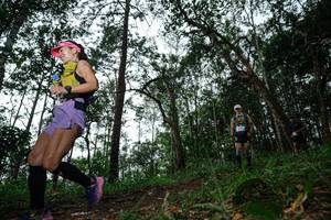 BIB: 
                            <button type="button" onclick="openModal(22560576)" class="btn btn-primary btn-sm float-right btn-popup" data-toggle="modal" data-target=".modal-high-quality">
                        <i class="fas fa-shopping-cart"></i> Add to Cart
                    </button>
                                            <button type="button" onclick="isThisMe(22560576, true)" class="btn btn-success btn-sm float-right btn-popup btn-isme hidden" data-toggle="tooltip" data-placement="bottom" title="นี่คือรูปของคุณใช่ไหม คลิกที่นี่เพื่อเอาเข้าอัลบั้ม">
                        <i class="fas fa-plus"></i> Add to album
                    </button>
                    <button type="button" onclick="isThisMe(22560576, false)" class="btn btn-warning btn-sm float-right btn-popup btn-isnotme hidden">
                        <i class="fas fa-ban"></i> Remove from album
                    </button>